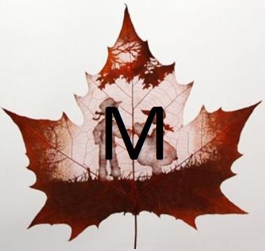 Изображение буквы «М»